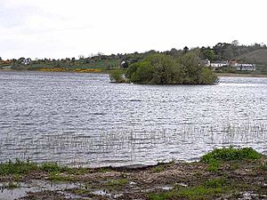 Crannog at the eastern end of Castlefore Lough - geograph.org.uk - 1306829