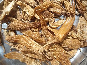 Dried Capsicum for Chili based food in Andhra