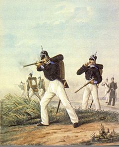 Finnish Guard 1850s