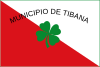 Flag of Tibaná