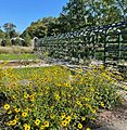 Historic Jay Gardens - Rose Arbor and Native Pollinator Room