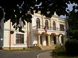 Iaşi , Romanian Literature Museum (House Pogor) 9