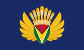 Presidential Standard of Guyana - President Irfaan Ali