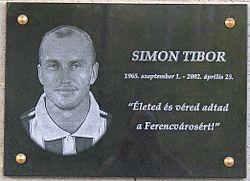 Simon Tibor Üllői út 129.