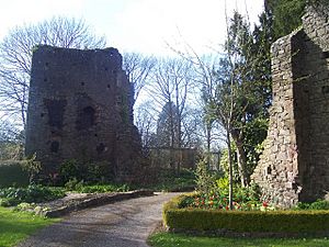 Ruins of Tiverton Castle, seat of the Earls of Devon