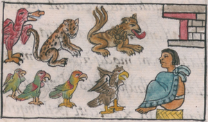 Totocall - zoológico de Tenochtitlán, en el folio 30v del libro VIII