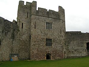 Chepstow castle - geograph.org.uk - 1125349