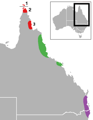 Distribution of Ornithoptera in Australia.png