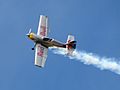 Flying Bulls Aerobatics Team 05