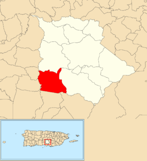Location of Los Llanos within the municipality of Coamo shown in red