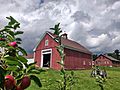 Parmenter Barn with apples