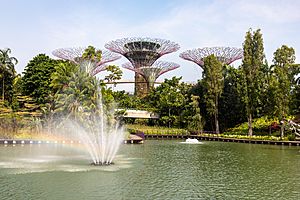 Singapore (SG), Gardens By The Bay -- 2019 -- 4755