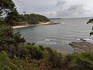 Collers Beach, Mollymook