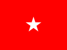 Flag of a United States Army brigadier general