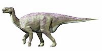 Iguanodon new NT.jpg