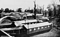 View of the huts at Harefield Park, an Australian Military Hospital in Middlesex, England, during World War I