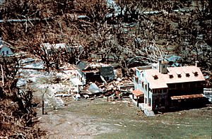 Wea00529 - Hurricane Andrew - Buildings on the Deering Estate