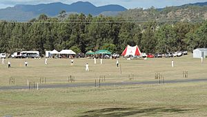 Cricket match, Maryvale, 2015