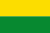 Flag of Valdivia, Antioquia