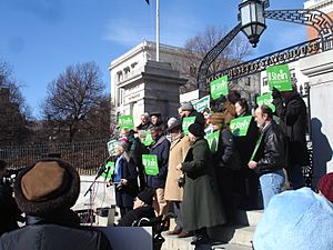 Jill Stein Candidacy Rally February 2010