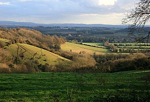 Looking down on Holybourne from Holybourne Down - geograph.org.uk - 627368