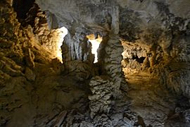 Shasta Caverns9