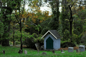 St.Johns-Shed