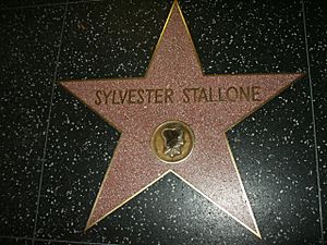 Stallone-Hollywood-Star