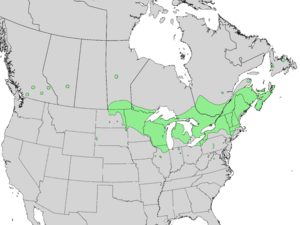 Viburnum opulus americanum range map 3.png