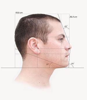 Camper Measurements on human male head
