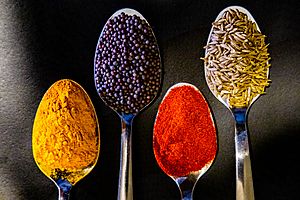Common Indian spices