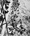HMS Dorsetshire Bismarck survivors