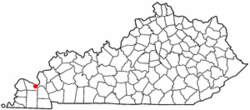 Location of Reidland, Kentucky
