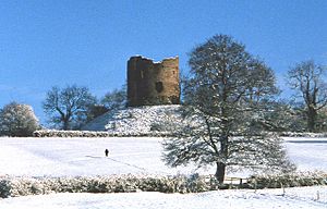 Longtown Castle, Herefordshire - geograph.org.uk - 62498