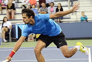 2014 US Open (Tennis) - Qualifying Rounds - Sanam Singh (14868781259)
