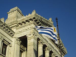 2016 bandera en el Palacio Legislativo de Montevido en Uruguay