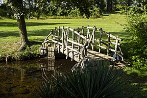 A bridge in McCourtie Park 2