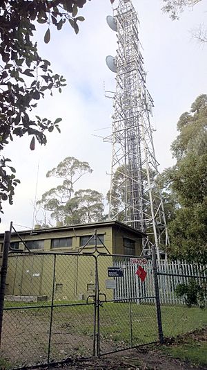 Arthurs seat summit radio tower
