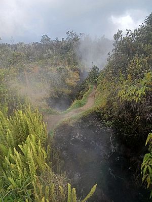 Kilauea steam vent