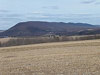 Knob Mountain from the southwest 2.JPG