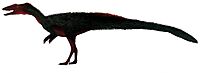 Pterospondylus restoration.jpg