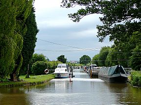 The Lichfield Canal at Huddlesford Junction - geograph.org.uk - 1163861.jpg