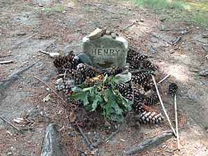 Grave of Henry David Thoreau