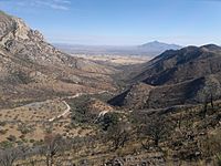 Desert valley vista between mountains, with trail and desert shrubs