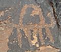 Negev camel petroglyph