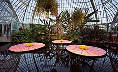 Phipps Conservatory 30
