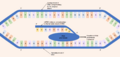 Process of DNA transcription