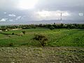 Sowy Nabi - panoramio