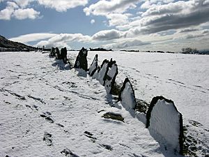 Vacchary Fence in the snow - geograph.org.uk - 752248