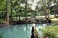 View of the Blue Hole Spring swimming area at Florida Caverns State Park- Marianna, Florida (3326614256)